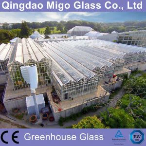 4mm vidro para estufa comercial moderado